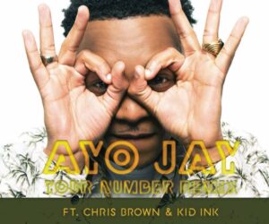 Ayo Jay Feat. Chris Brown + Kid Ink - Your Number (Remix)