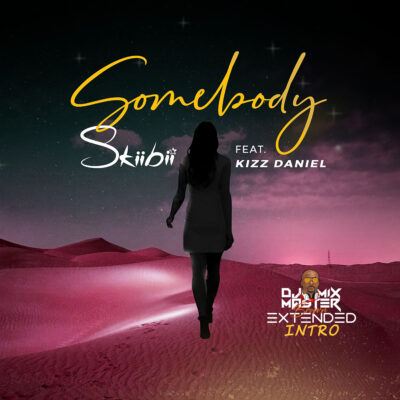 SkiiBii ft. Kizz Daniel - Somebody (Dj Mixmaster Brown Extended Intro)