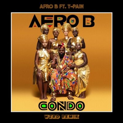 Afro B ft. T-Pain - Condo (WZRD Remix)