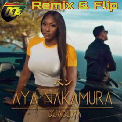 Aya Nakamura - Djadja (DJ I95 Remix x Flip)